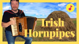 The Stack of Barley Hornpipe  The Galway Hornpipe  Irish Traditional music on Piano Accordion [upl. by Kori]