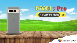 Google Pixel 7 Pro Camera Review  কম টাকায় ভালো ক্যামেরা ফোন [upl. by Ahsema]