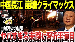 【ゆっくり解説】中国の生態系破壊しかねない最悪の愚行にw 中国国内がクライマックに [upl. by Noirb]