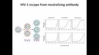 Virology 2012 Lecture 18 HIV pathogenesis [upl. by Eydie]