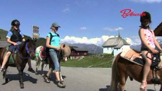 Sommer auf der Bettmeralp [upl. by Laaspere]