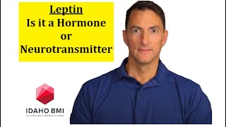 Leptin A Hormone or Neurotransmitter [upl. by Harol245]