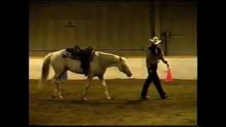 YOR High Noon Bridleless Reining Appaloosa Stallion [upl. by Lacey601]