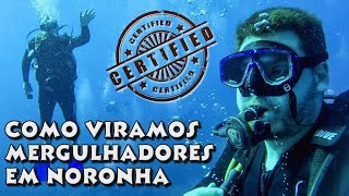 MERGULHO EM FERNANDO DE NORONHA COMO É EXPLORAR O FUNDO DO MAR NO DESTINO MAIS BONITO DO BRASIL [upl. by Changaris]