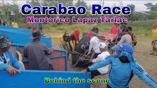 EP484 Carabao Race Montorico Lapaz Tarlac Behind the scene [upl. by Ylevol]