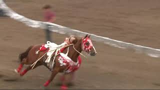 Trick Riding at the Ponoka Stampede 2018 Shelby Pierson [upl. by Yorgo]