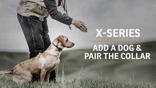 XSeries  How to Add a Dog and Pair the Collar [upl. by Aleka]