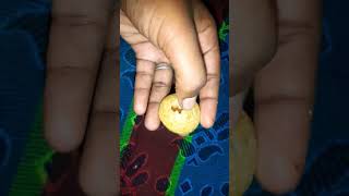 Rs 5 pani puri at home 🤭😋😋💯💯🤭 [upl. by Jaunita]