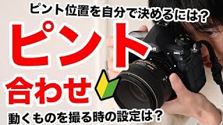 【ピント合わせの基本】フォーカスロックを覚えよう！一眼レフ初心者必見・ピントの位置を自分で決めて撮るには？ペットや子供など動く被写体を撮るときの設定はどうする？ [upl. by Cerellia255]