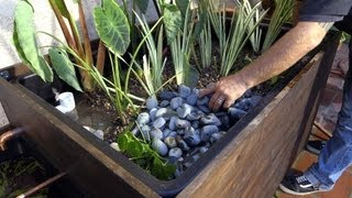 Patio Pond with Bog Filter  Planting the Pond Plants  Part 11 [upl. by Eannaj897]