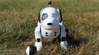 Zoomer The Interactive Robotic Dog Review [upl. by Assen]