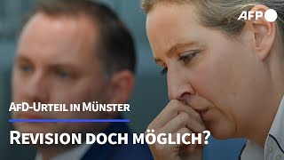 So könnte die AfD gegen das Urteil aus Münster vorgehen  AFP [upl. by Onoitna]