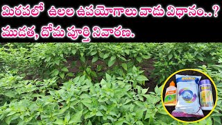 మిరప లో ముడత దోమ నివారణ Ulala insecticide teluguupl ulala ulala uses in Telugu  GLS Farming [upl. by Aires672]