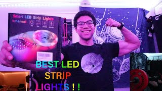 Setting up LED Strip Lights from AMAZON Tenmiro 656FT [upl. by Ynehteb]