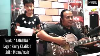 Lagu baru utk MIZAN ciptaan HARRY KHALIFAH yg berjudul quot AMALINA quot [upl. by Mamoun]