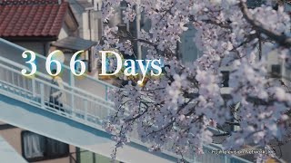 366 Days 【Fuji TV Official】 [upl. by Lanor]