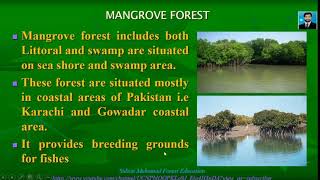 Comprehensive lecture on forest types of Pakistan  Forest Education [upl. by Eeneg]