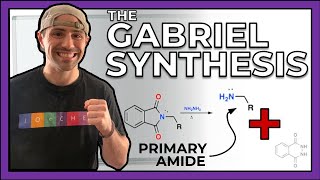 The Gabriel Synthesis Making Primary Amines [upl. by Favian]