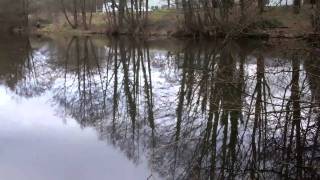 Llantarnam Ponds in Cwmbran [upl. by Tiraj263]