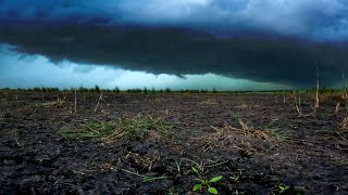 Film Hooiland parel uit het binnenveld is klaar GroenLinksPvdA Rhenen organiseert filmavond [upl. by Rainger250]