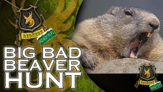 Extreme Airgun Hunting Hunting Beaver with a Daystate Wolverine 303 big bore airgun [upl. by Nayra286]