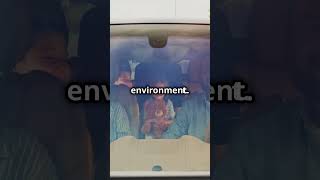 Carpool to Save Money amp the Environment savings carpooling money personalfinance budgeting [upl. by Aihsrop938]