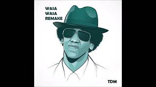 Tego Calderon  Wasa Wasa  Instrumental [upl. by Richie]