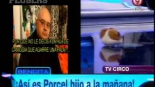 Broma a Porcel JR Bendita TV  Parte 1 [upl. by Refinne268]