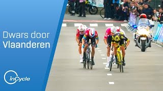 Dwars door Vlaanderen 2019  Mens Highlights  inCycle [upl. by Yrellav418]