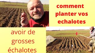 Comment planter vos échalotes [upl. by Acinom]