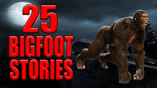 25 Bigfoot and Cryptid StoriesBest of Dixie Cryptid Vol 7 [upl. by Akenal]