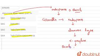 Aleurone layer takes part in  12  SEEDS  BIOLOGY  DINESH PUBLICATION  Doubtnut [upl. by Brucie693]