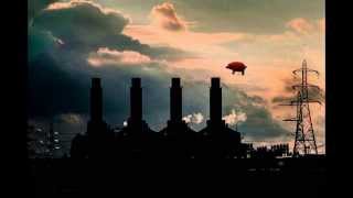 Pink Floyd  Pigs On The Wing  Live Full version with solo HD [upl. by Enoj]