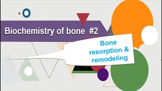 Bone resorption and remodeling Biochemistry of bone [upl. by Einiar436]