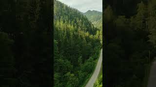 Foothills of the Alps From Upper Austria to Styria relax nature alps travel shorts [upl. by Eimilb]