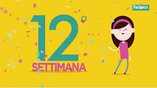 12° settimana di gravidanza [upl. by Witha]