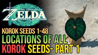 Zelda Tears of The Kingdom All Korok Seeds Part 1  Hebra Mountains [upl. by Skillern]