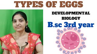 Types of Eggs in developmental biology microlecithal mesolecithal  megalecithal telolecithal [upl. by Winter]