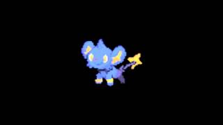 Pokemon Cries  403 Shinx [upl. by Namor534]