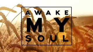 Awake My Soul Lyrics  Hillsong Worship  Brooke Fraser [upl. by Nerrag]