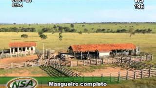 Fazenda em Três Lagoas MS 1573 HA you tubewmv [upl. by Ruggiero]