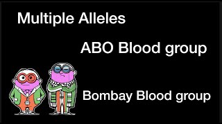 ABO blood group Bombay Blood Phenotype and Multiple Alleles [upl. by Lindie375]