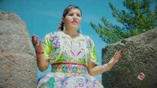 NELIDA  CUANDO MAS TE NECESITÉ Video Clip Oficial 2016 [upl. by Reidid]