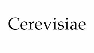 How to Pronounce Cerevisiae [upl. by Evita]