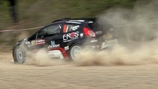 Rallye de Wallonie 2014 HD [upl. by Scoter829]