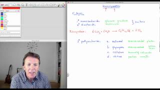 71 Koolhydraten  scheikunde  Scheikundelessennl [upl. by Ainola]