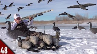 EPIC Solo Goose Hunt on ICE Limited Out  Goose Hunting 2022 [upl. by My]