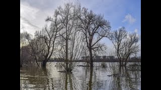 Emergenza alluvioni frane e siccità il ruolo dellIngegneria Naturalistica e NBS [upl. by Hizar]