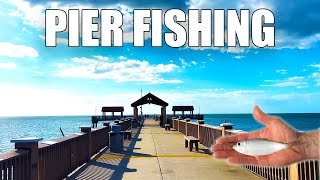 Fishing Clearwater Beach Pier 60 And Teaching People How To Fish [upl. by Hathaway]