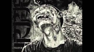 Wormrot  Dirge Full Album [upl. by Dowell223]